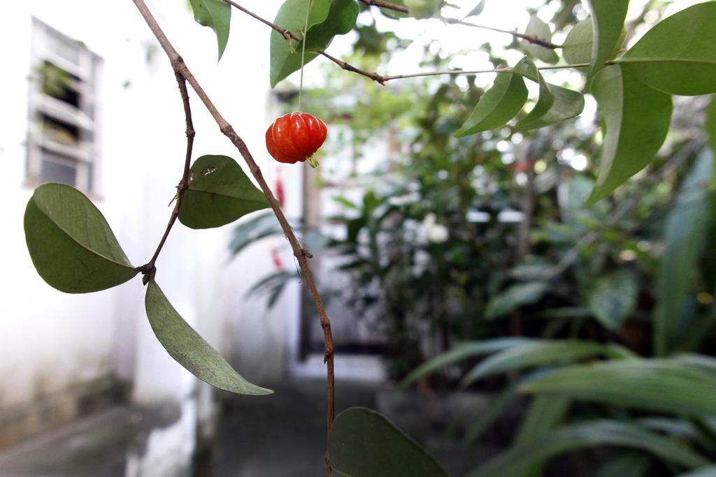 Casa Em Meio A Natureza - Ideal Para Casal Bed and Breakfast Rio de Janeiro Eksteriør billede